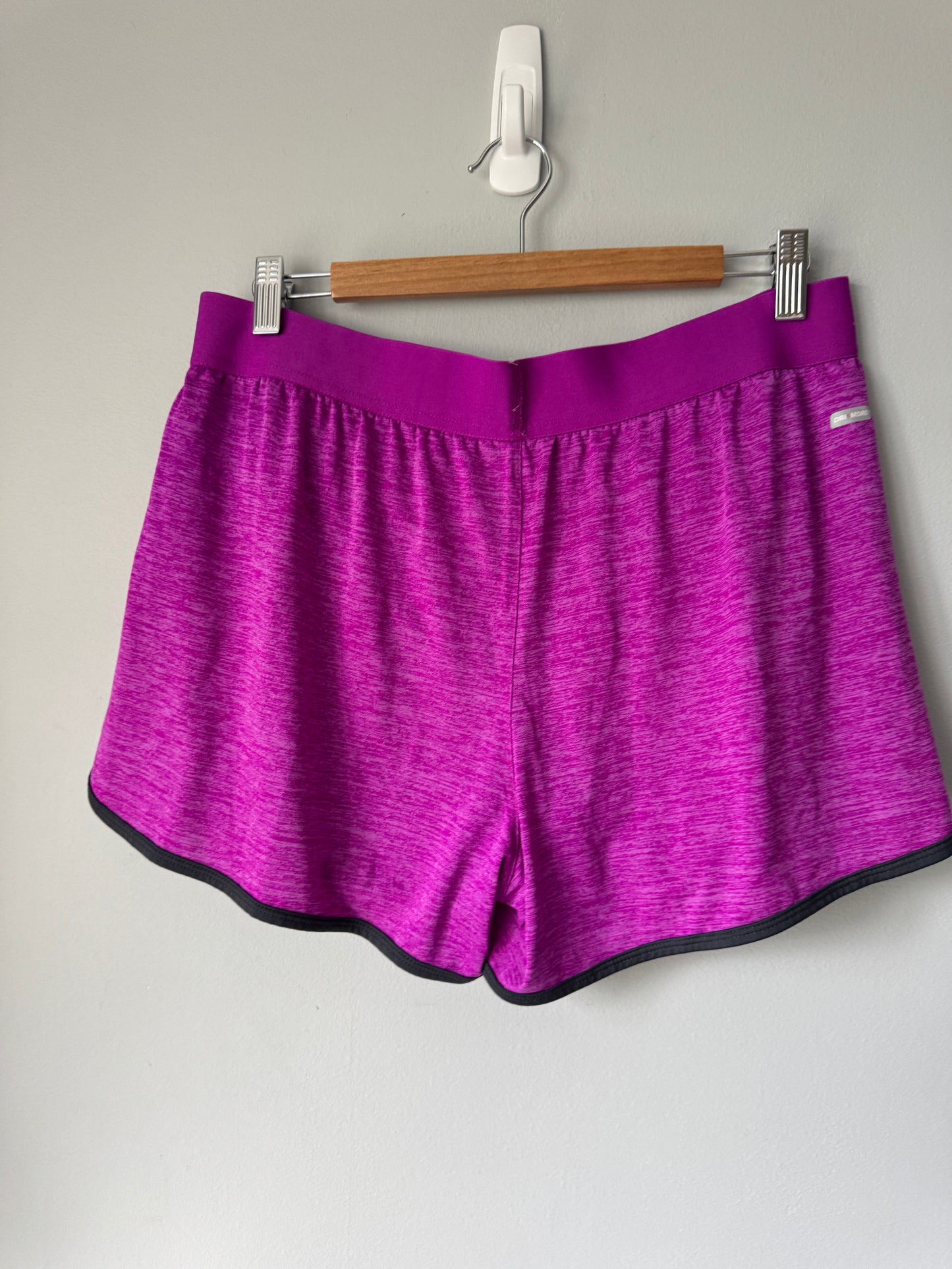 Danskin Purple Shorts Size Large 12/14
