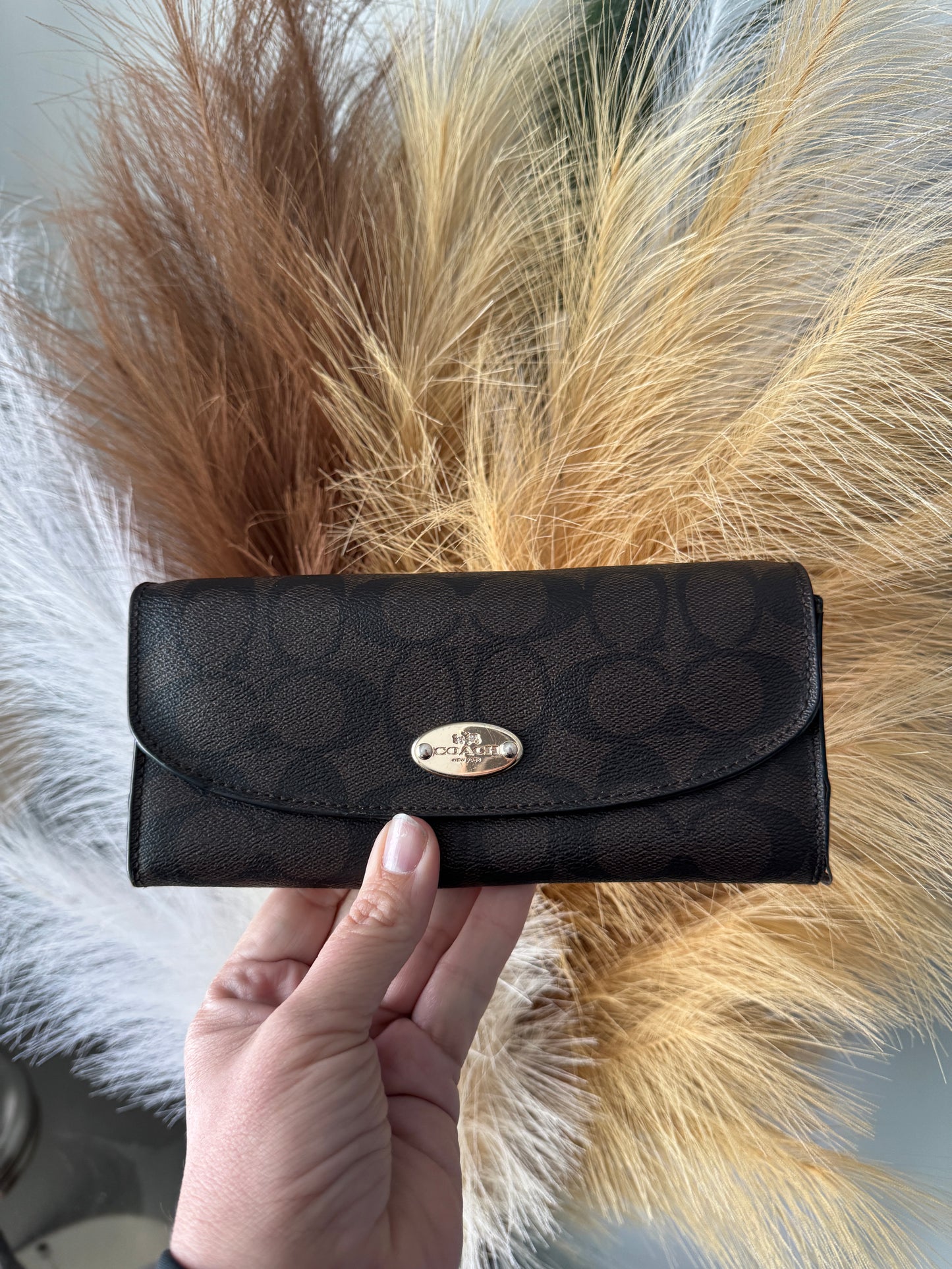 Pre Owned Coach Wallet in Signature Canvas