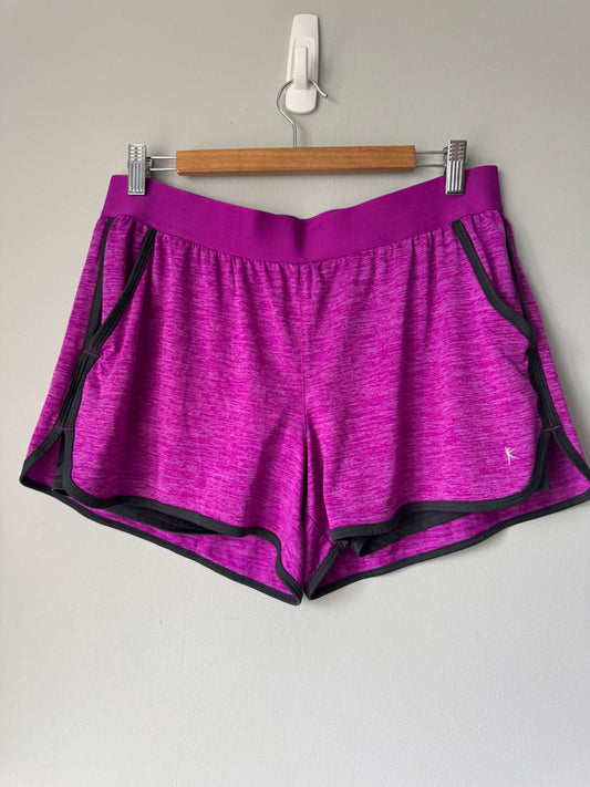 Danskin Purple Shorts Size Large 12/14